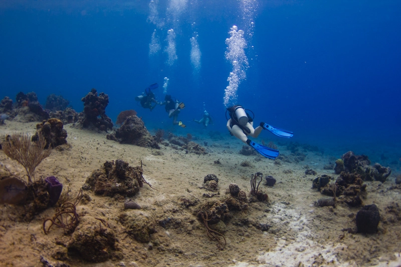 Mergulho em Cozumel: visibilidade acima de 40 metros