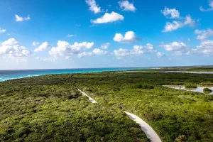 Cozumel, no México, foi o primeiro destino de viagem do projeto Profundo no Mundo