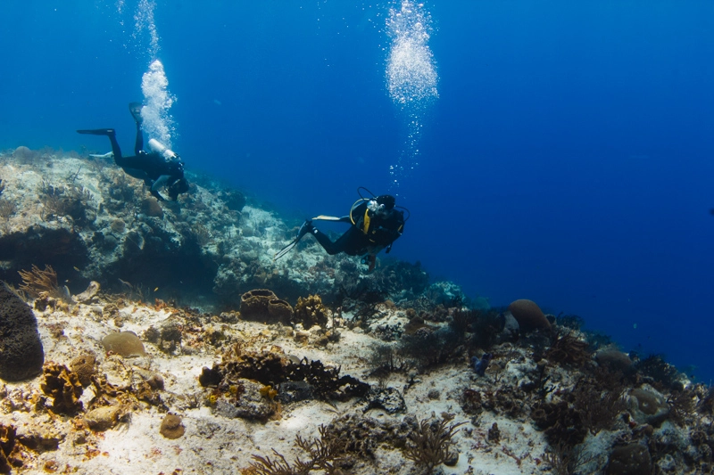quanto custa mergulhar em Cozumel