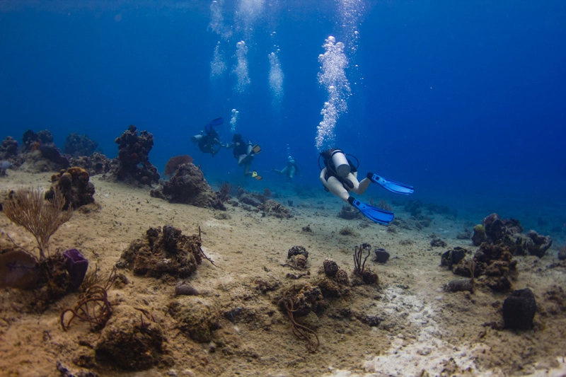 Quanto custa mergulhar em Cozumel? O mergulho de praia é uma opção mais barata