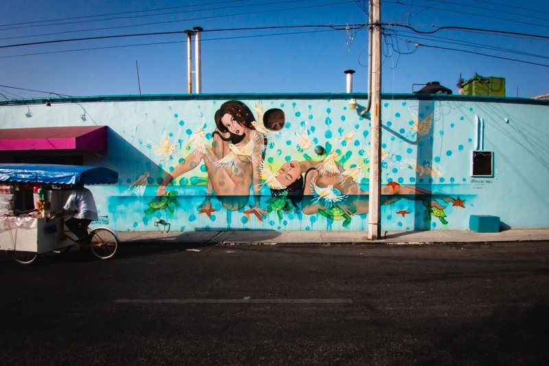 Sea Walls Cozumel - Amanda Lynn