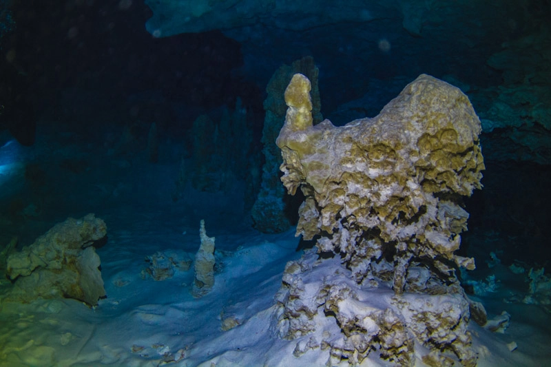 Estruturas corroídas pela água salgada no Cenote Calavera, em Tulum