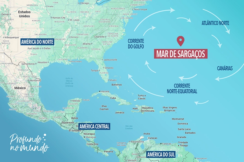 Mapa localizando o Mar de Sargaços entre as correntes do Golfo, do Atlântico Norte, das Canárias e a corrente Norte Equatorial