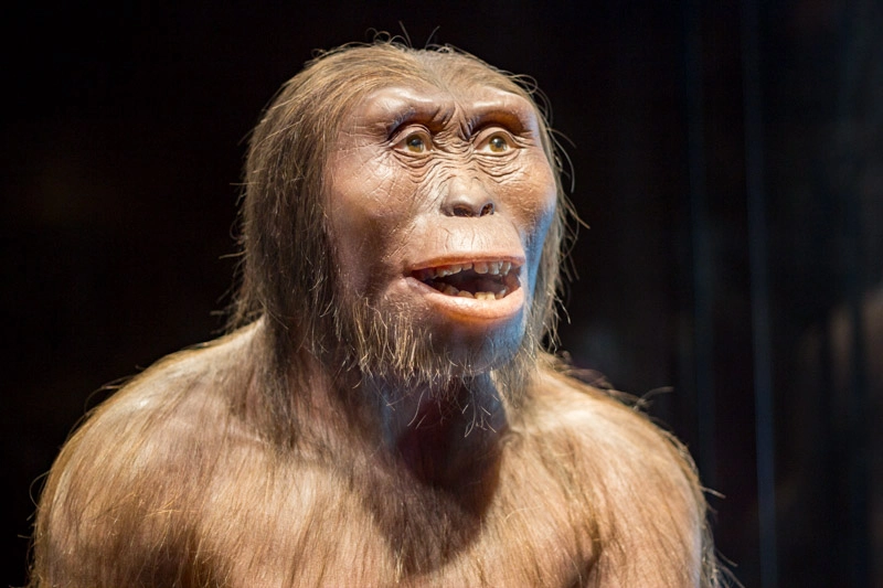 Reconstrução de Lucy, no Museu de Antropologia da Cidade do México