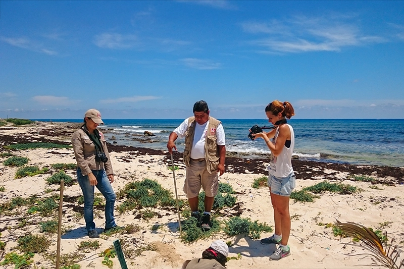 Making of do mini-doc sobre as tartarugas marinhas que fizemos em Cozumel