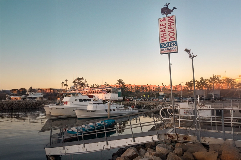 O passeio para avistar baleias e golfinhos sai da marina de Oceanside.