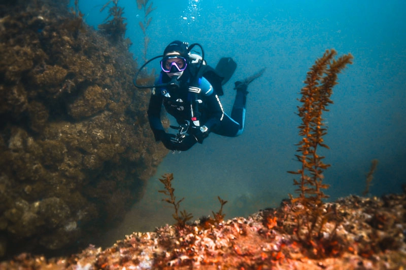 Tata mergulhando nas Channel Islands, California