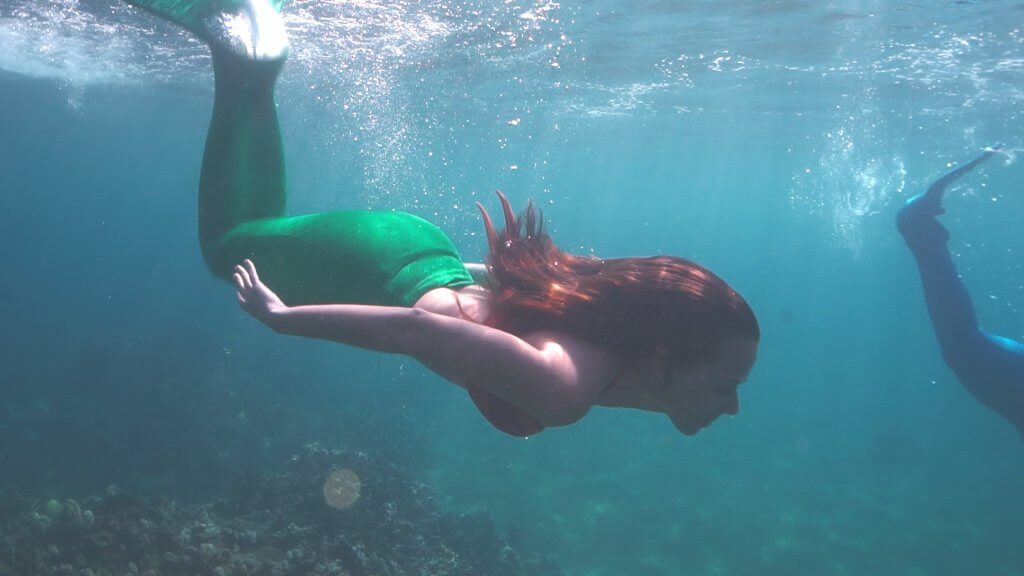 Vou começar esse post fazendo uma confissão: um dos principais motivos de termos escolhido a ilha de Maui para visitar no Havaí é porque descobrimos que lá era possível fazer uma Aula de Sereia! Pra quem acha que aula de sereia é coisa de criança...