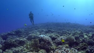 Mergulho na cratera de um vulcão