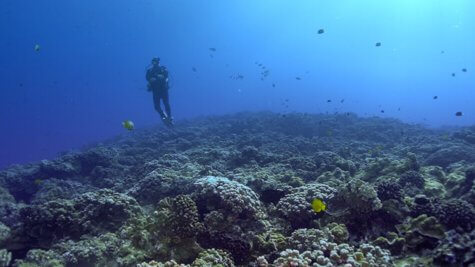 O Havaí é uma das áreas de maior vulcanismo do mundo, e as ilhas que formam o arquipélago na verdade tem sua origem nos vulcões que lentamente emergiram do fundo do mar, ao longo de um processo de milhares de anos...