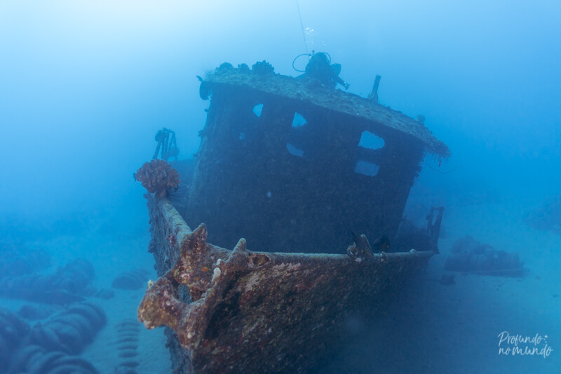 Mergulho em Maui - St Anthony