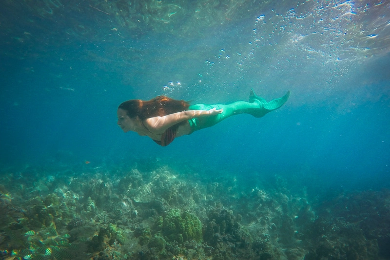 aula de sereia no havai: mar cristalino e muitos corais no fundo do mar