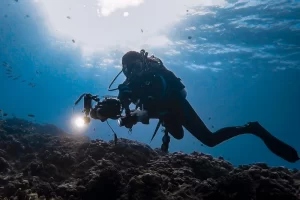 Rafa durante mergulho na cratera do vulcão molokini, em Maui