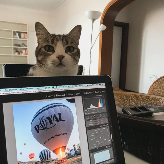 House Sitting em Roma enquanto criamos conteúdo para o blog de viagem