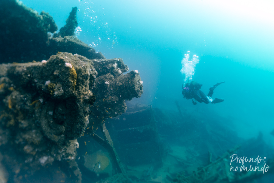 Mergulho no wreck Produce - Aliwal Shoal, África do Sul