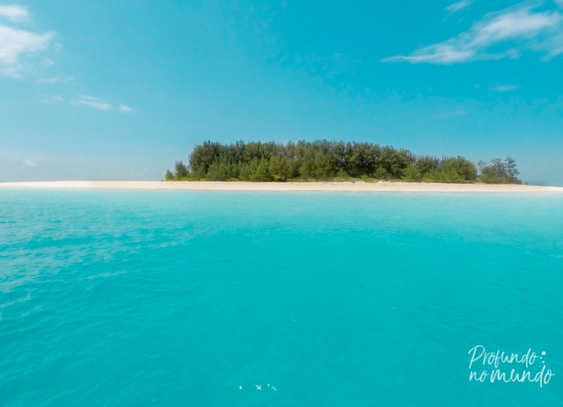 mnemba island, em zanzibar tanzania