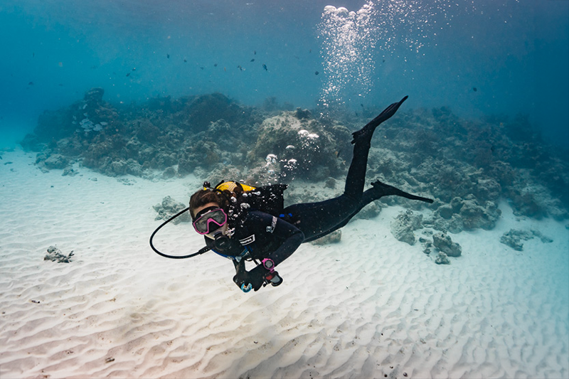 mergulho em zanzibar