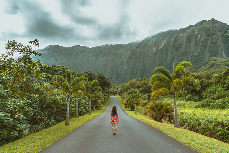 O Jardim Botanico Hoomaluhia Botanical Gardens é um dos principais pontos turísticos para fazer em Oahu no Havaí
