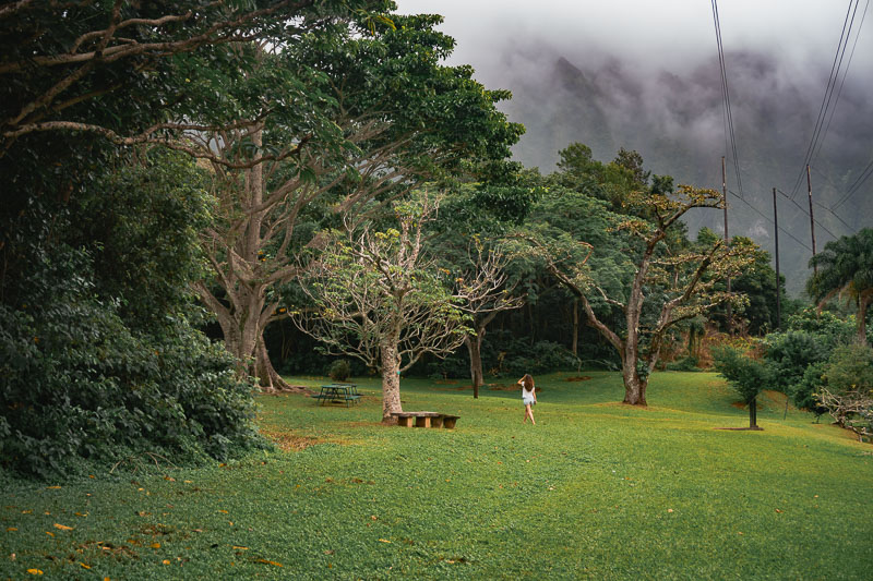 O que fazer em Oahu: Jardim Botânico Hoomaluhia