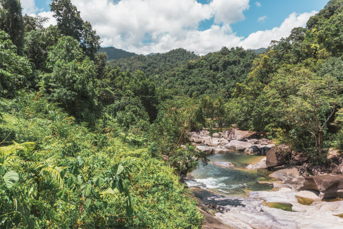 Área com muito verde rodeando um rio que corre pelas pedras