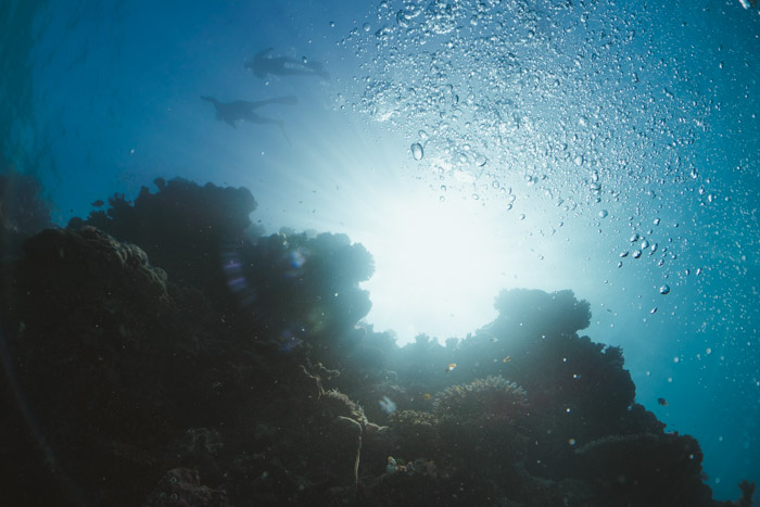 parede de corais vista de baixo, com dois mergulhadores no topo e a luz do sol na superfície