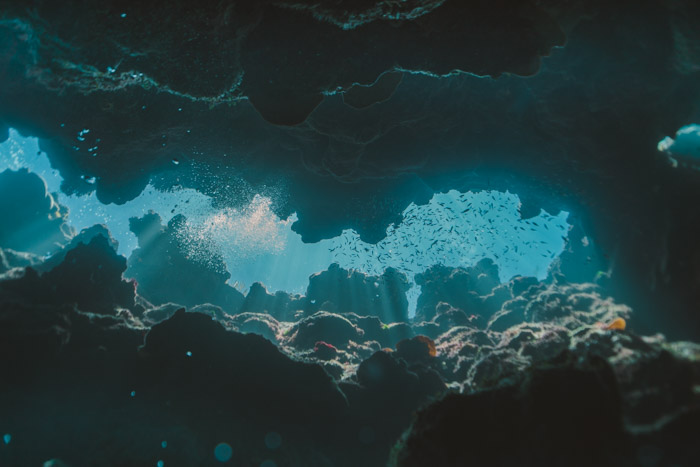 Mar azul e corais de Port Douglas