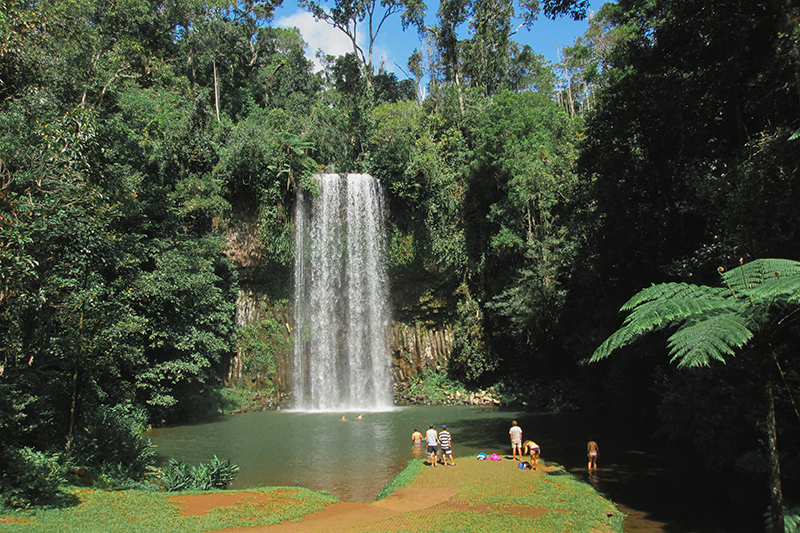 Millaa Millaa Falls, a mais famosa do Circuito das Cachoeiras de Cairns.