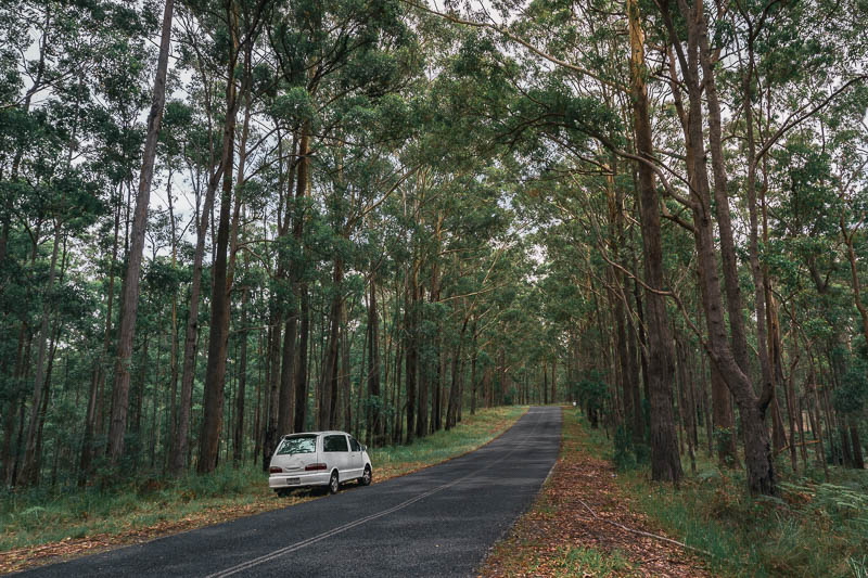 Scenic Drive: as rotas turisticas mais bonitas que você vai passar em uma viagem de carro pela Austrália