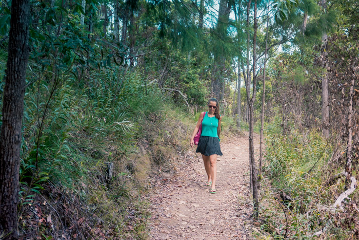 Cardwell Attie Creek Falls