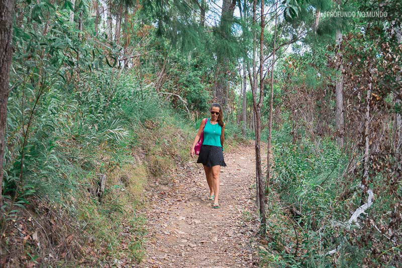 Trilha para Attie Creek em Cardwell