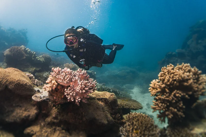 Mergulhadora observa corais durante um mergulho em Orpheus Island, na Grande Barreira de Corais, Austrália.
