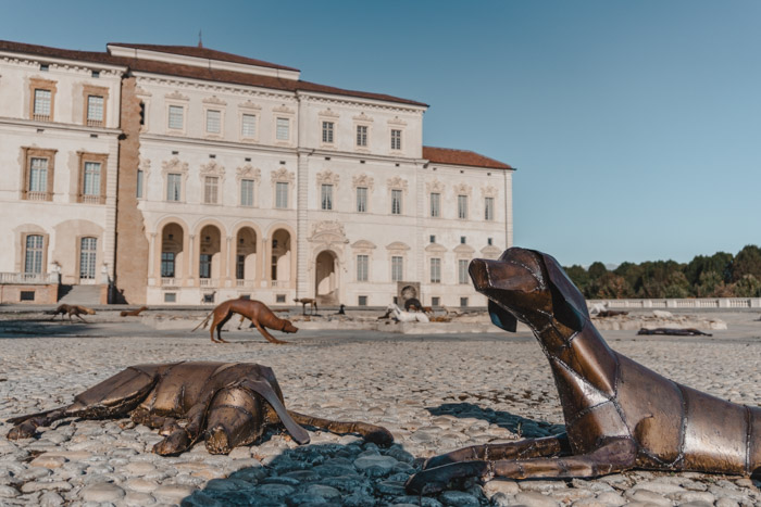 Estátuas de cães de caça na entrada do Palácio