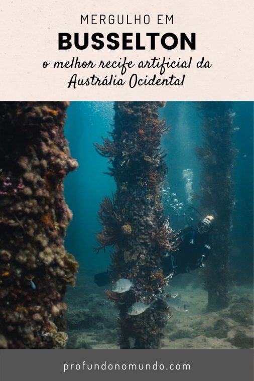 Para salvar no Pinterest: Mergulho em Busselton, Austrália Ocidental