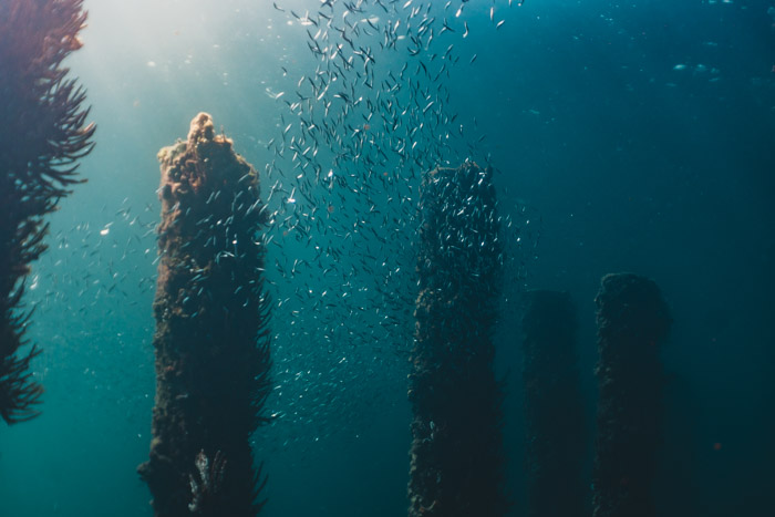 Mergulho em Busselton