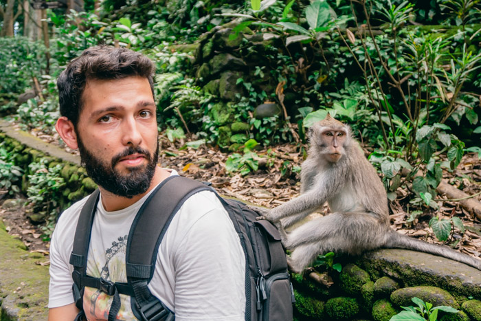 Dicas de viagem para Bali - Monkey Forest, em Ubud