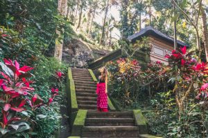 Guia completo de Bali - Templo em Ubud
