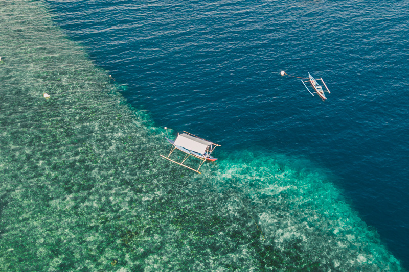 Vista aérea de uma parede de coral em Cebu