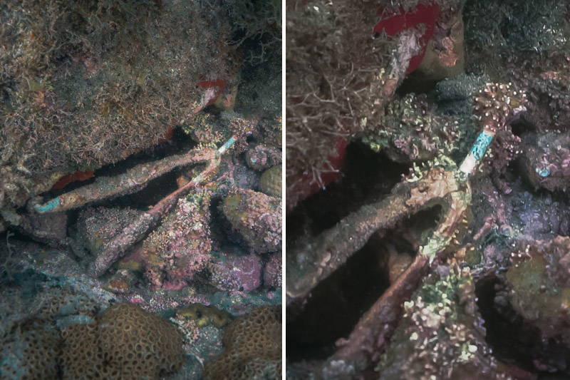 Tira de chinelo de borracha: lixo no fundo do mar