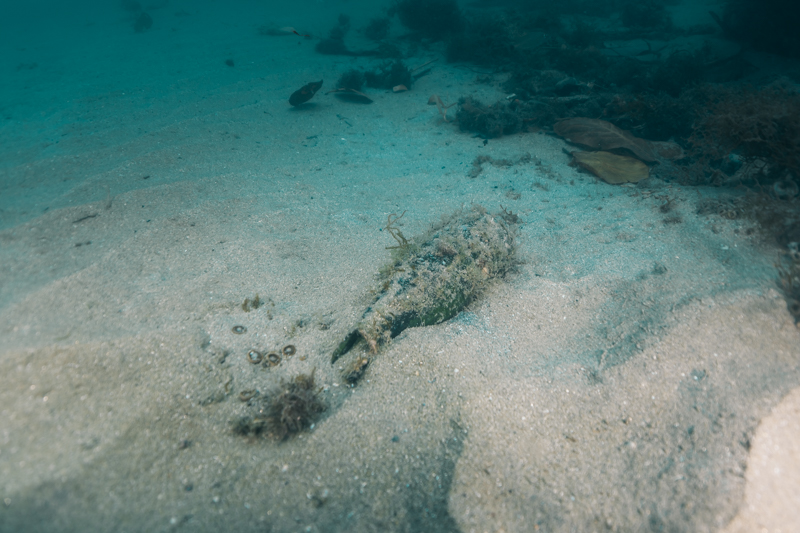 Garrafa de vidro no fundo do mar