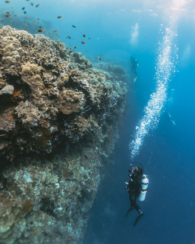 mergulho nas filipinas - profundo no mundo