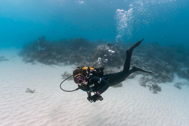 Mergulho em Mnemba Island: o ponto mais incrível para mergulhar em Zanzibar