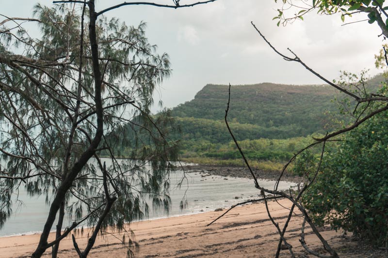 onde ver canguru na austrália