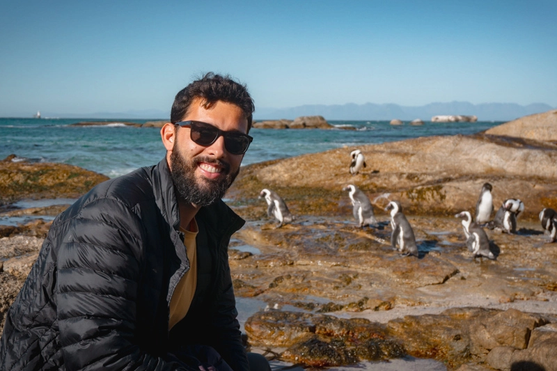 O que fazer na Cidade do Cabo: ver pinguins em Boulders Beach