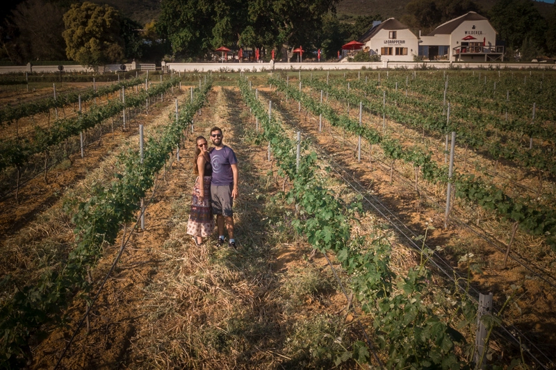 Spice Route, uma das vinícolas que vale a pena incluir no seu roteiro de coisas para fazer em Cape Town