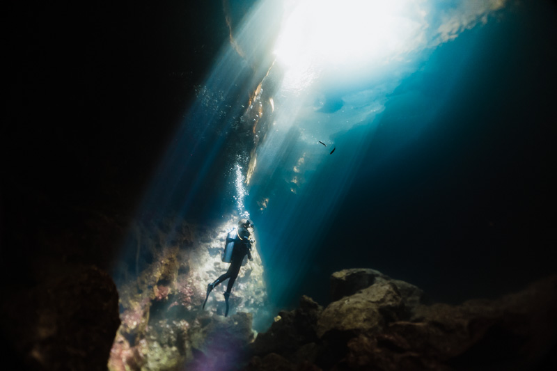 Dar a volta ao mundo e conhecer todos os continentes até debaixo d’água. Essa foi a premissa da viagem que fizemos e que resultou nesse vídeo. Durante 360 dias, passamos por 12 países e mergulhamos na cultura local, visitamos pontos turísticos, conhecemos novas línguas, novos costumes, experimentamos novos...