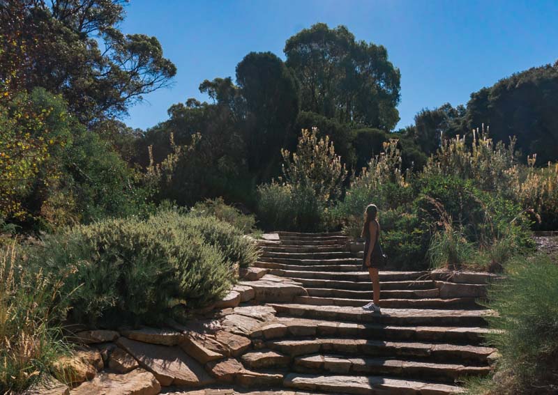 O que fazer em Perth: Kings Park.