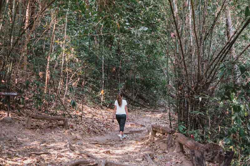 trilha do monge chiang mai