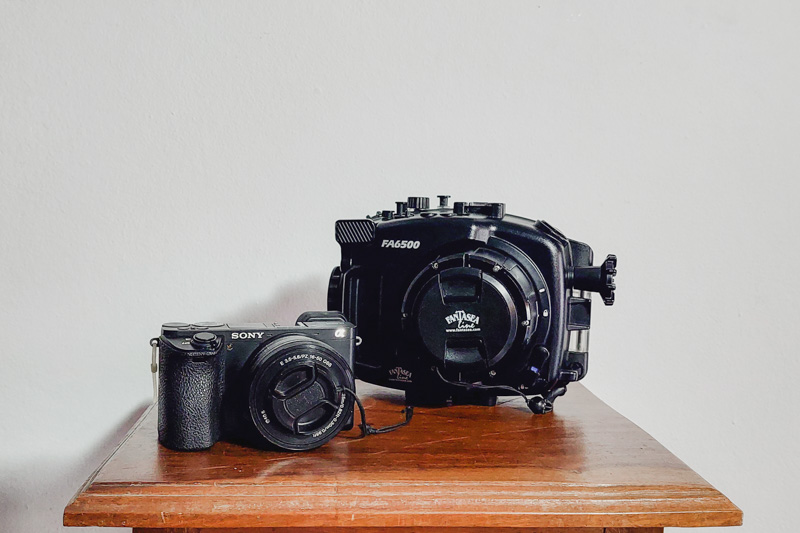 Caixa estanque Fantasea para Sony A6500: equipamento para fazer foto e vídeo de mergulho