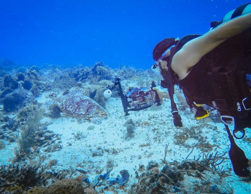 Caixa estanque Ikelite: equipamento para foto subaquática