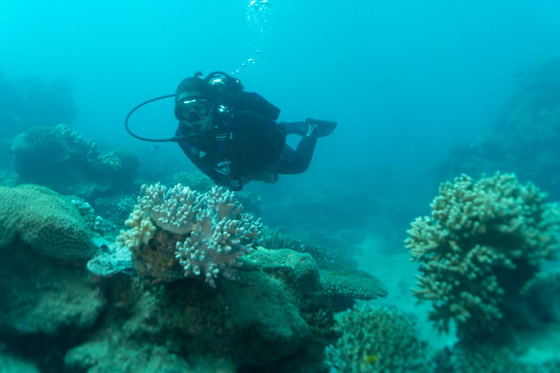 Foto de mergulho em RAW, sem edição.